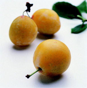 mirabelles